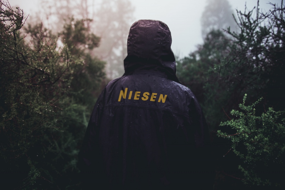 Niesen Berg Logo